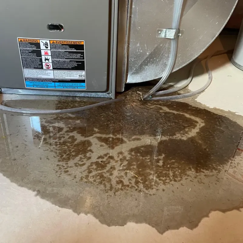 Appliance Leak Cleanup in Parsons, WV