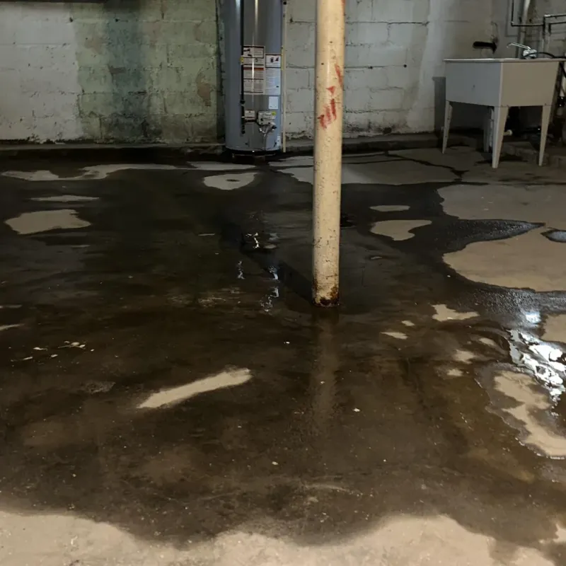 Emergency Water Extraction And Removal in Parsons, WV